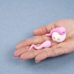 Egg donation : Drawback and benefits