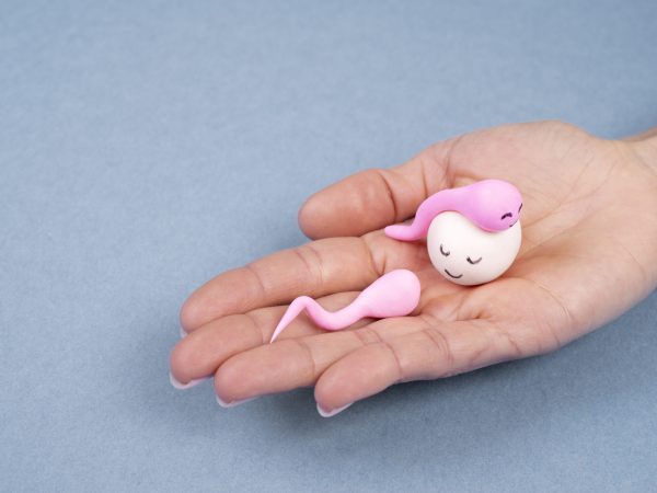 Risk & Benefits of Egg Donation