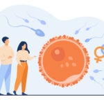 IVF Safety And Couple: No of cycles