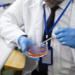 Personalized IVF lab process